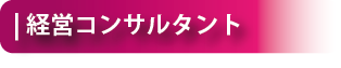 経営コンサルタント見出し
